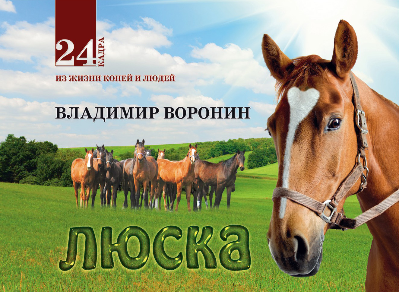 Обложка книги «Люска»