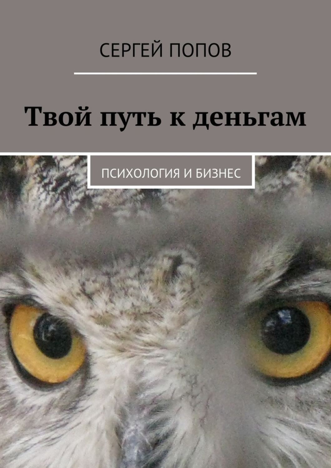 Обложка книги «Твой путь к деньгам. Психология и бизнес»