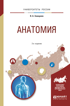 Обложка книги «Анатомия 2-е изд., испр. и доп. Учебное пособие для вузов»