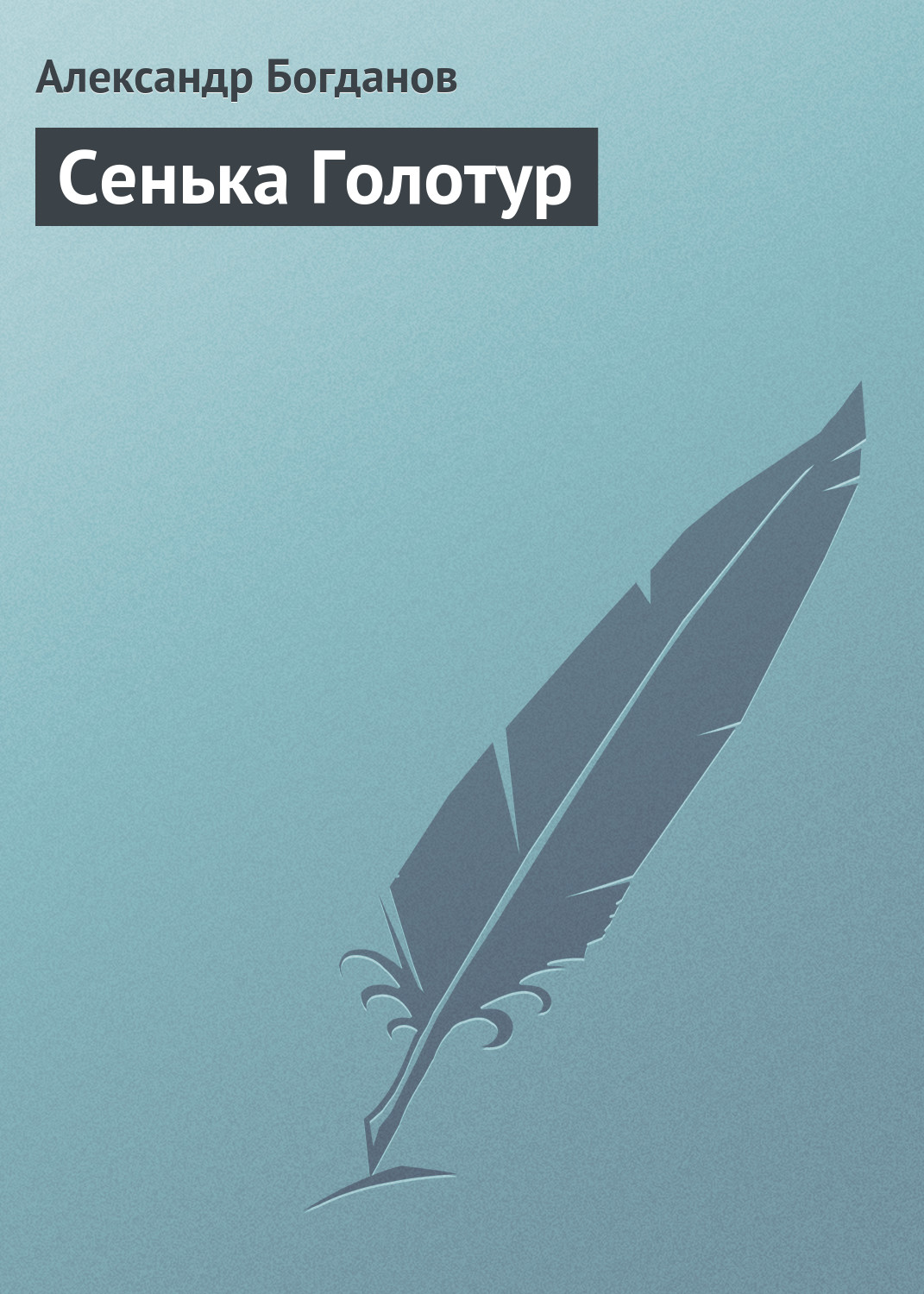 Обложка книги «Сенька Голотур»