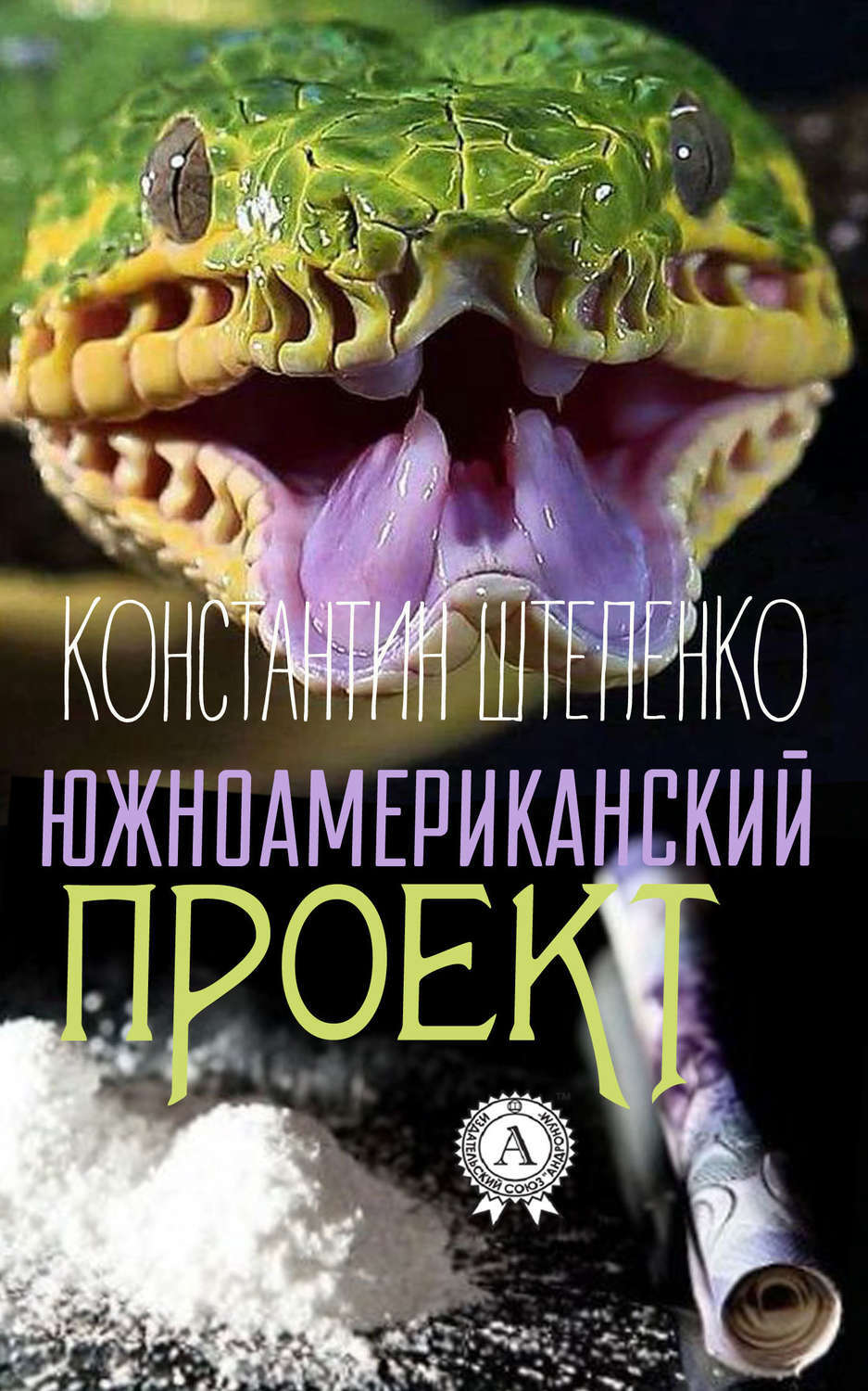 Обложка книги «Южноамериканский проект»