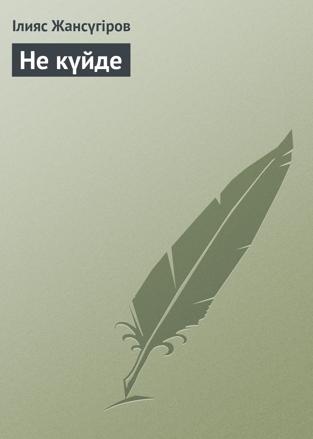 Обложка книги «Не күйде»
