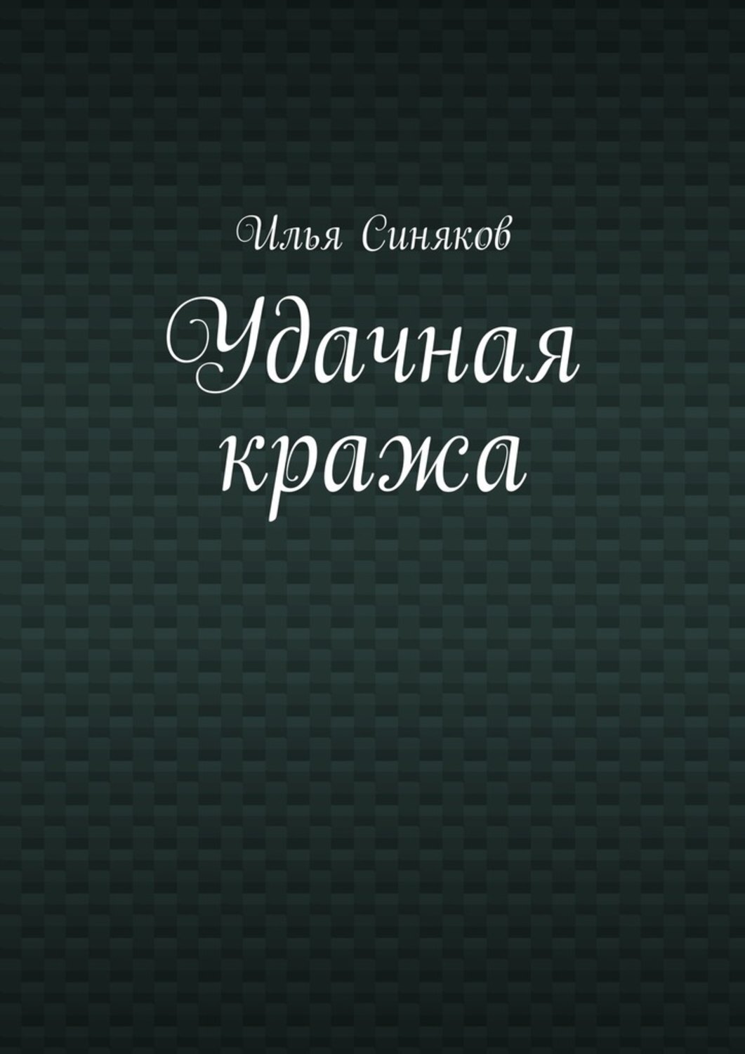 Обложка книги «Удачная кража»