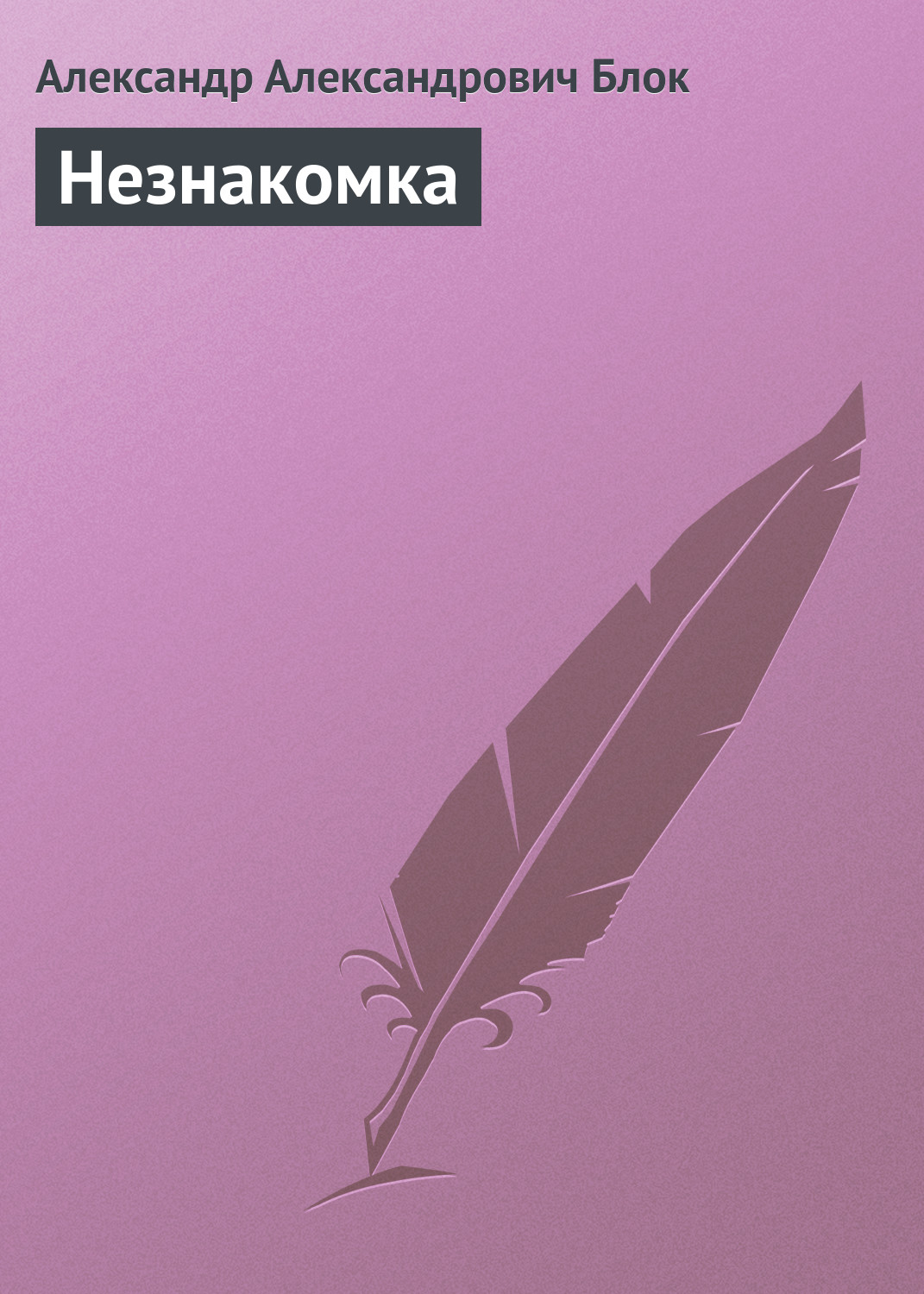 Обложка книги «Незнакомка»