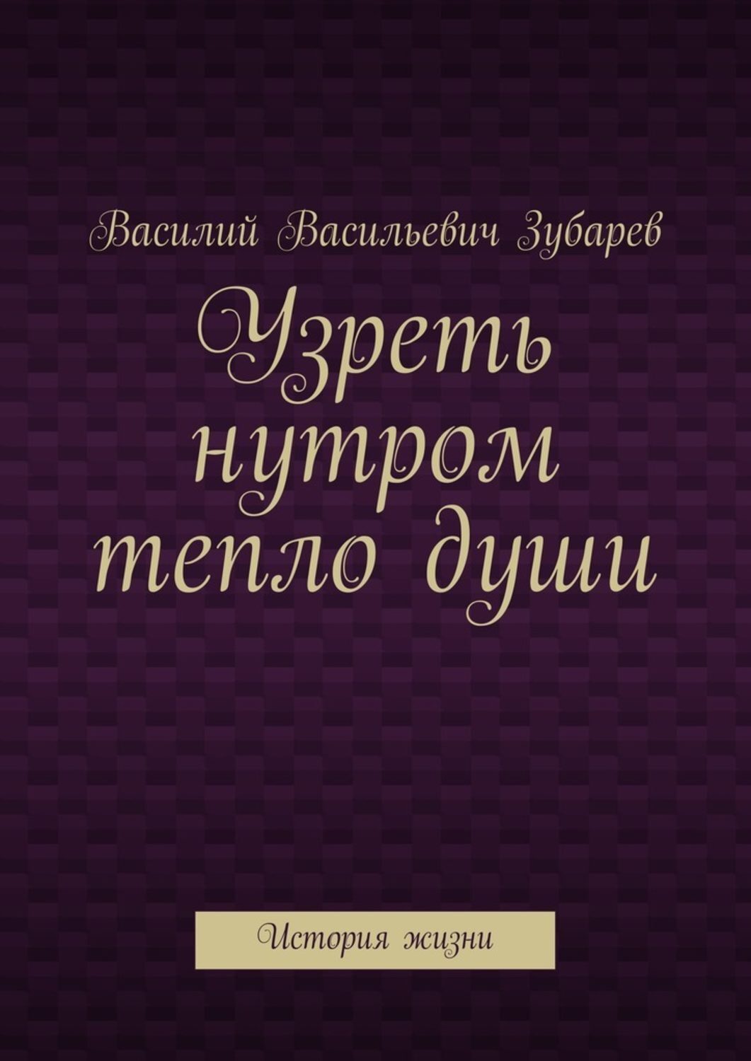 Обложка книги «Узреть нутром тепло души. История жизни»