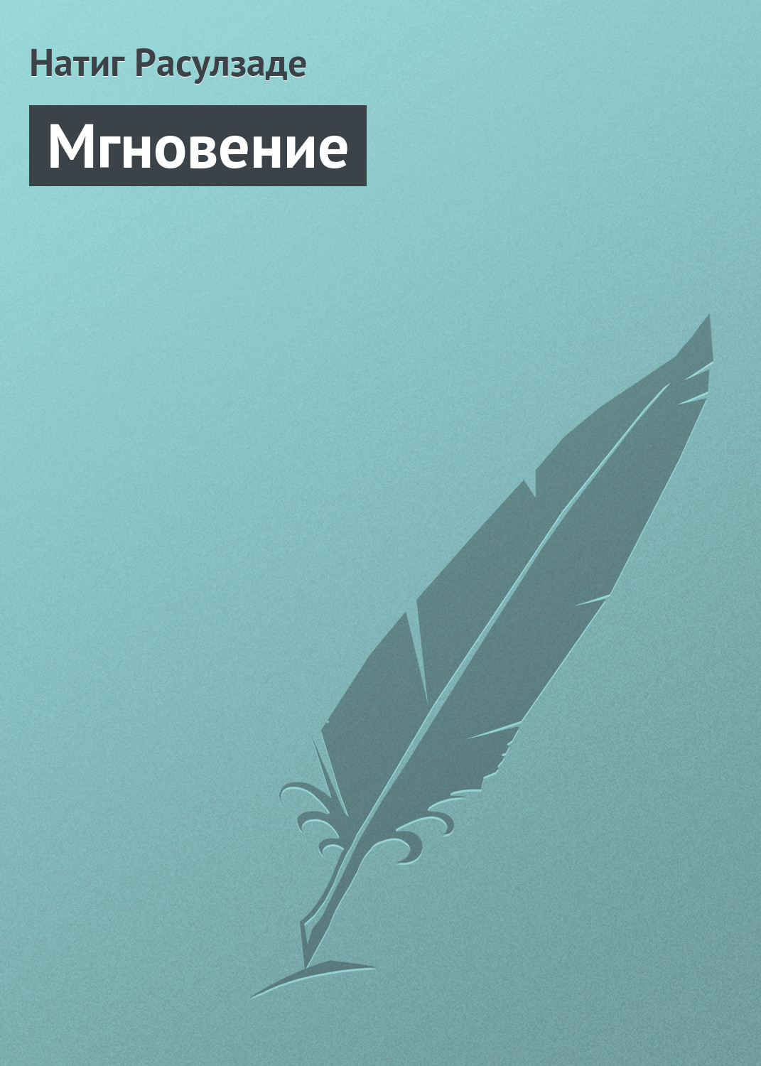 Обложка книги «Мгновение»
