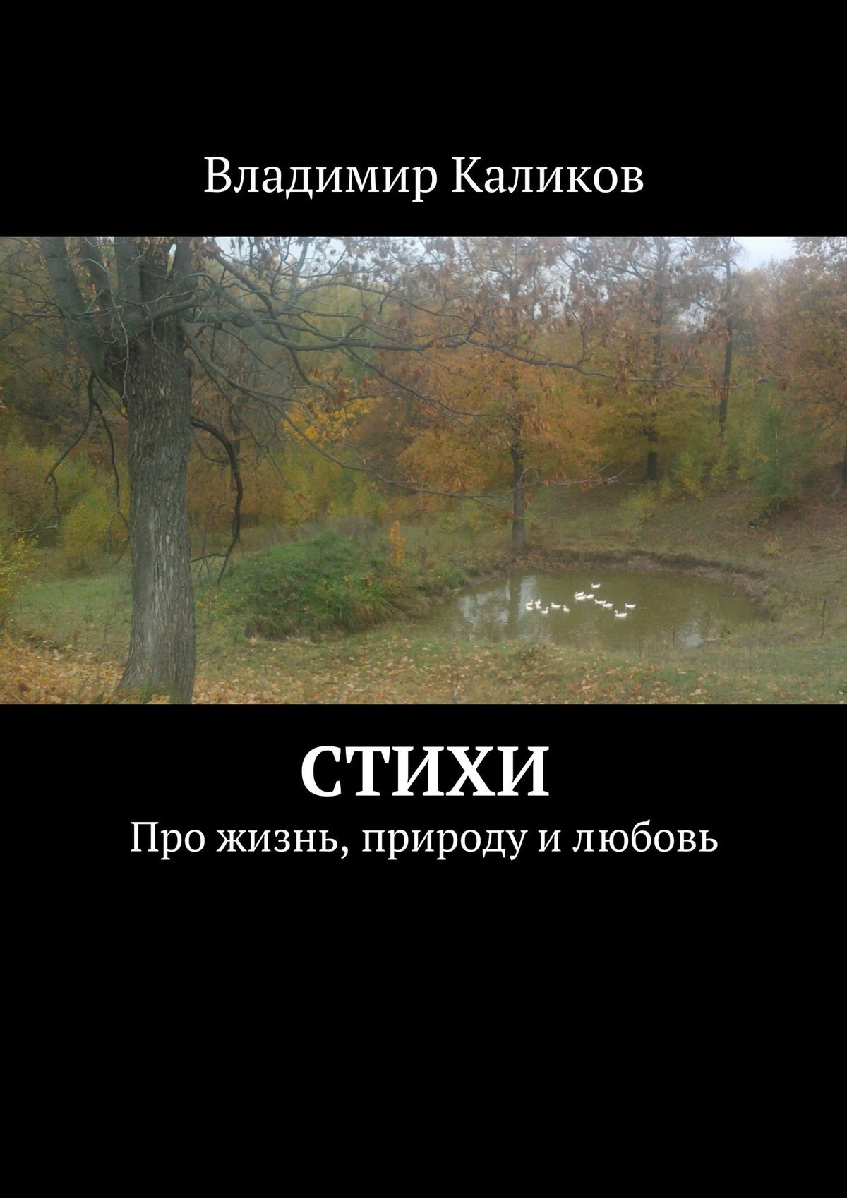 Обложка книги «Стихи. Про жизнь, природу и любовь»