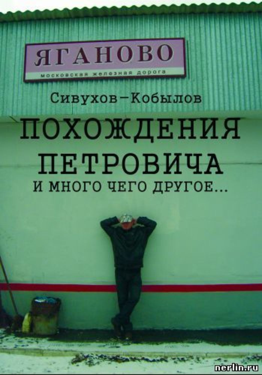Обложка книги «ПОХОЖДЕНИЯ ПЕТРОВИЧА и много чего другое…»