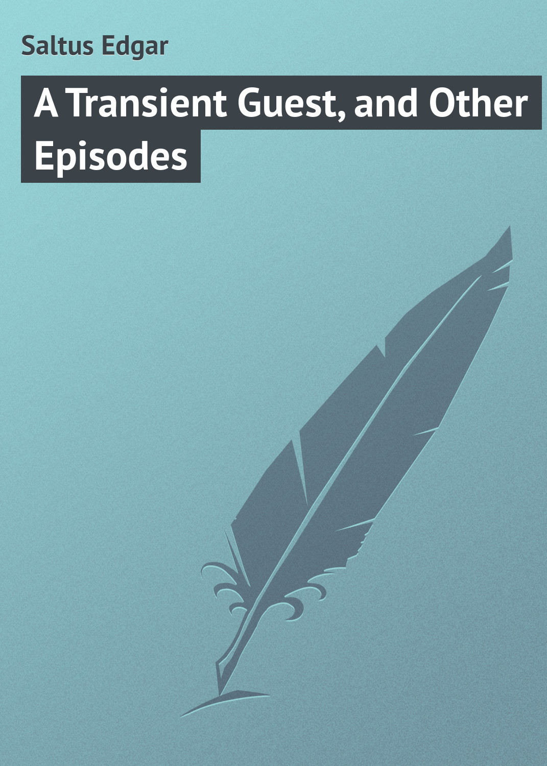 Обложка книги «A Transient Guest, and Other Episodes»