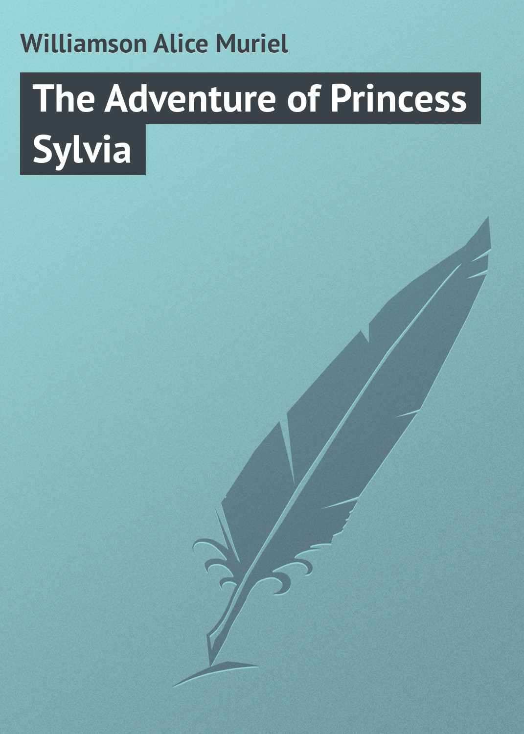 Обложка книги «The Adventure of Princess Sylvia»