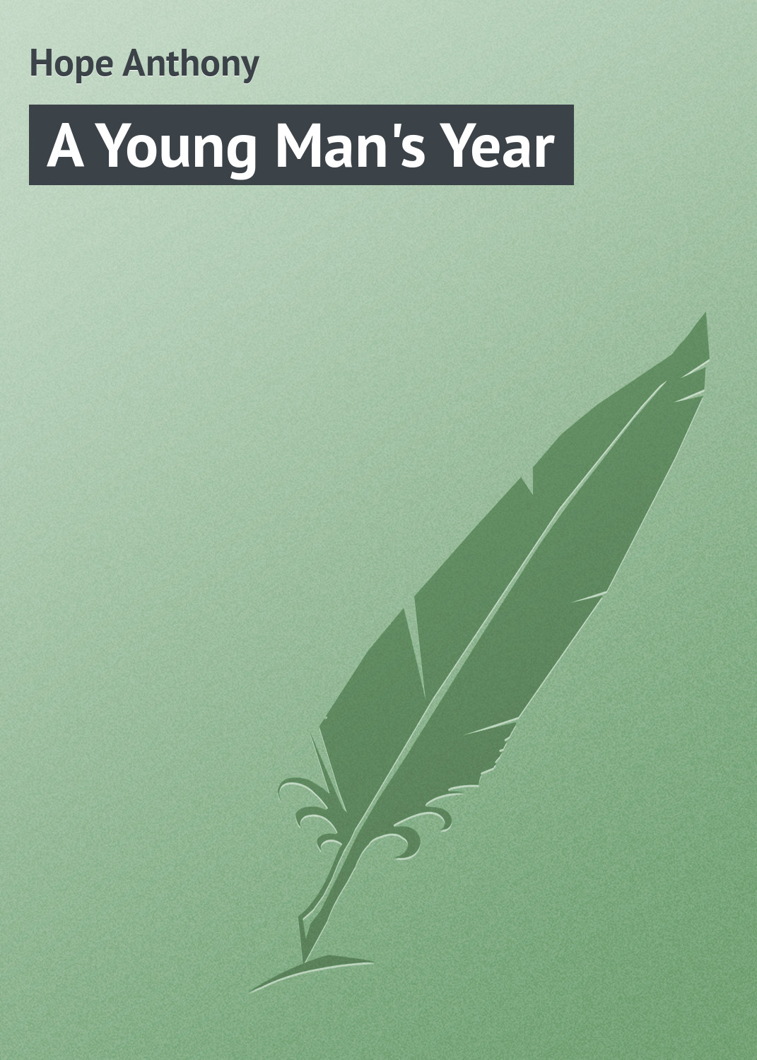 Обложка книги «A Young Man's Year»