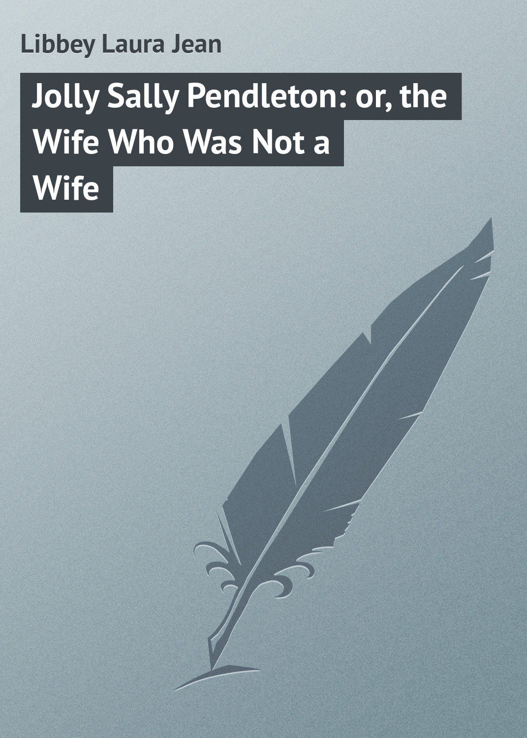Обложка книги «Jolly Sally Pendleton: or, the Wife Who Was Not a Wife»
