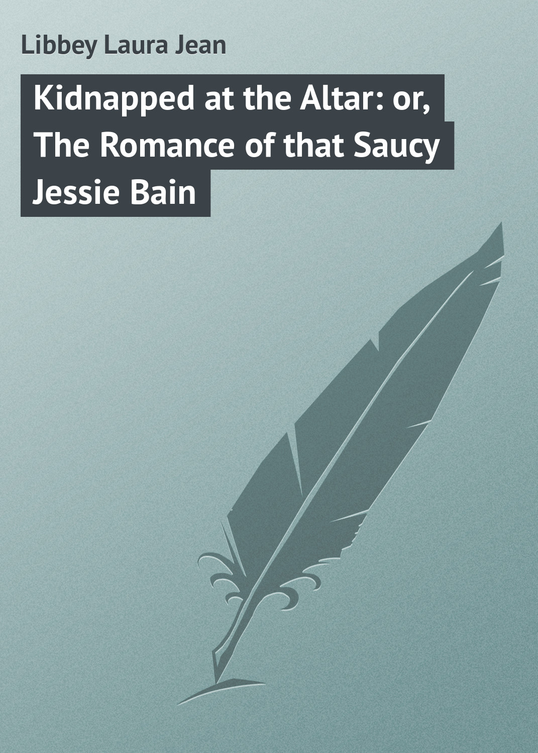 Обложка книги «Kidnapped at the Altar: or, The Romance of that Saucy Jessie Bain»