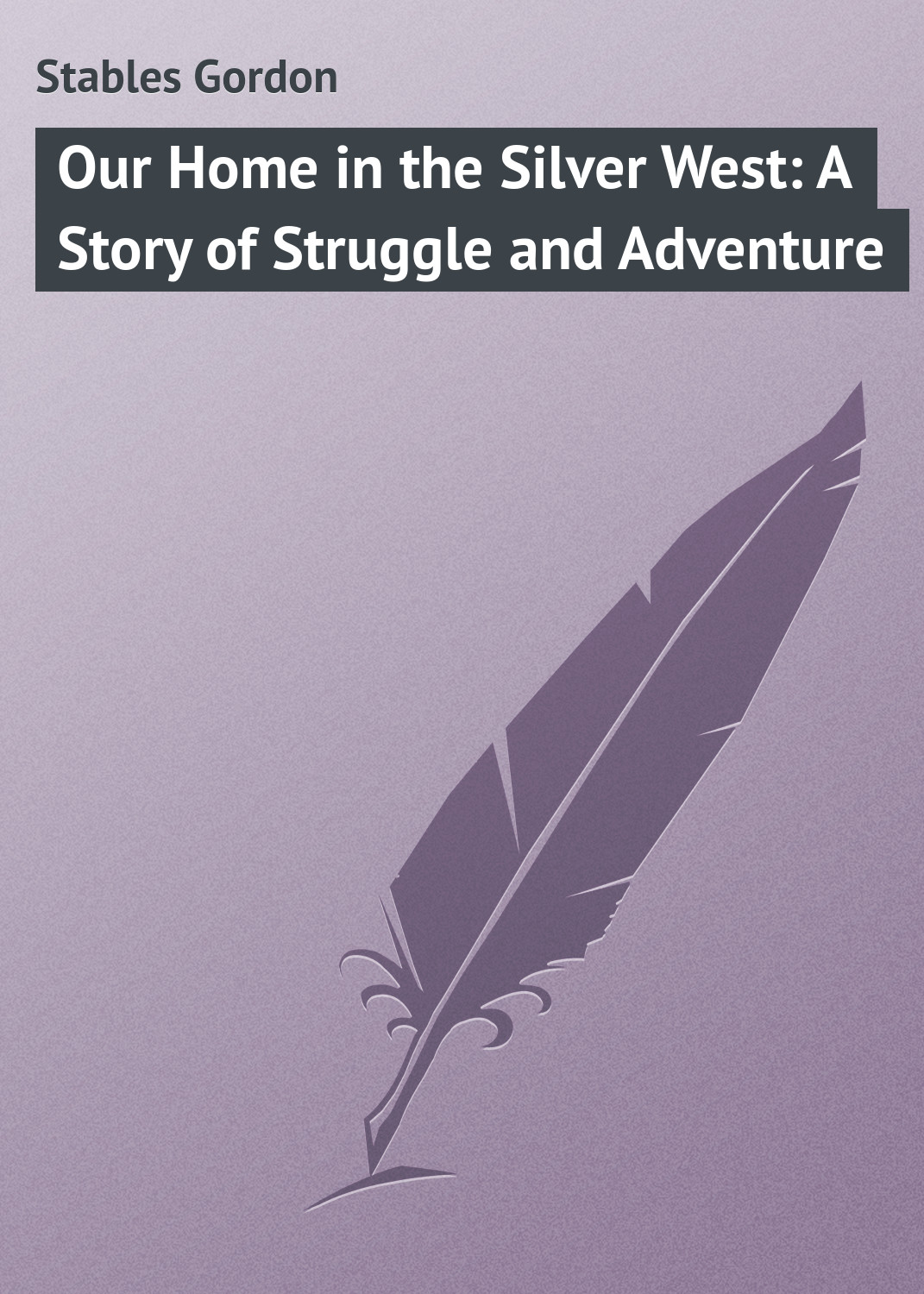 Обложка книги «Our Home in the Silver West: A Story of Struggle and Adventure»