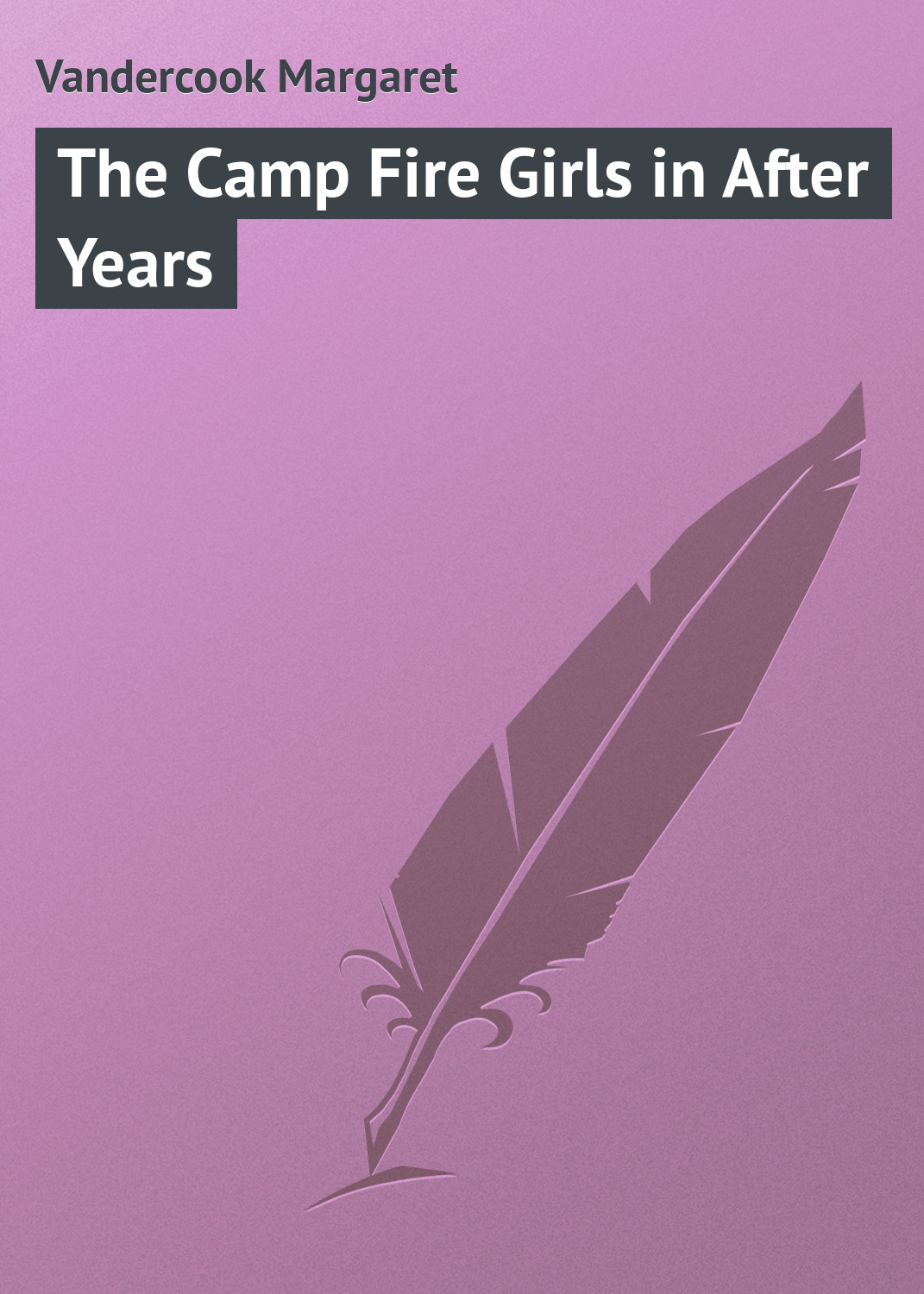 Обложка книги «The Camp Fire Girls in After Years»