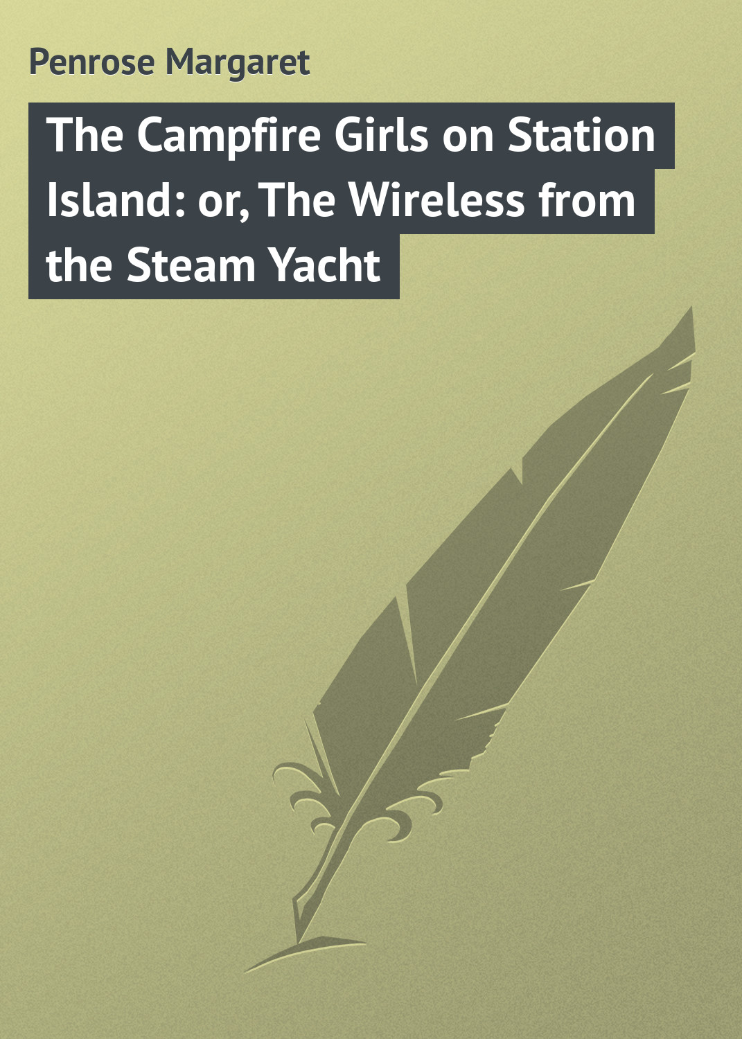Обложка книги «The Campfire Girls on Station Island: or, The Wireless from the Steam Yacht»