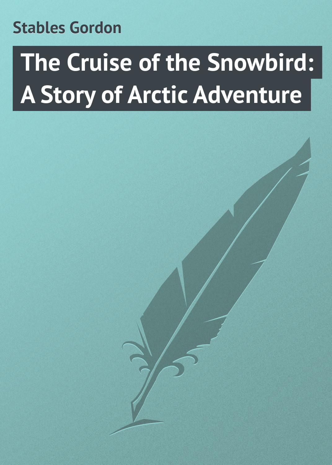 Обложка книги «The Cruise of the Snowbird: A Story of Arctic Adventure»