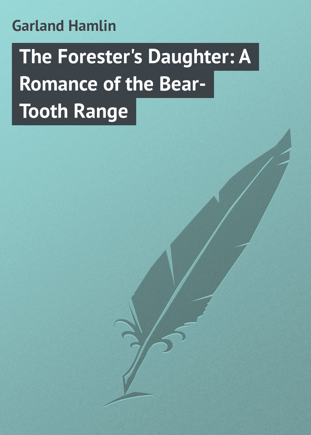 Обложка книги «The Forester's Daughter: A Romance of the Bear-Tooth Range»