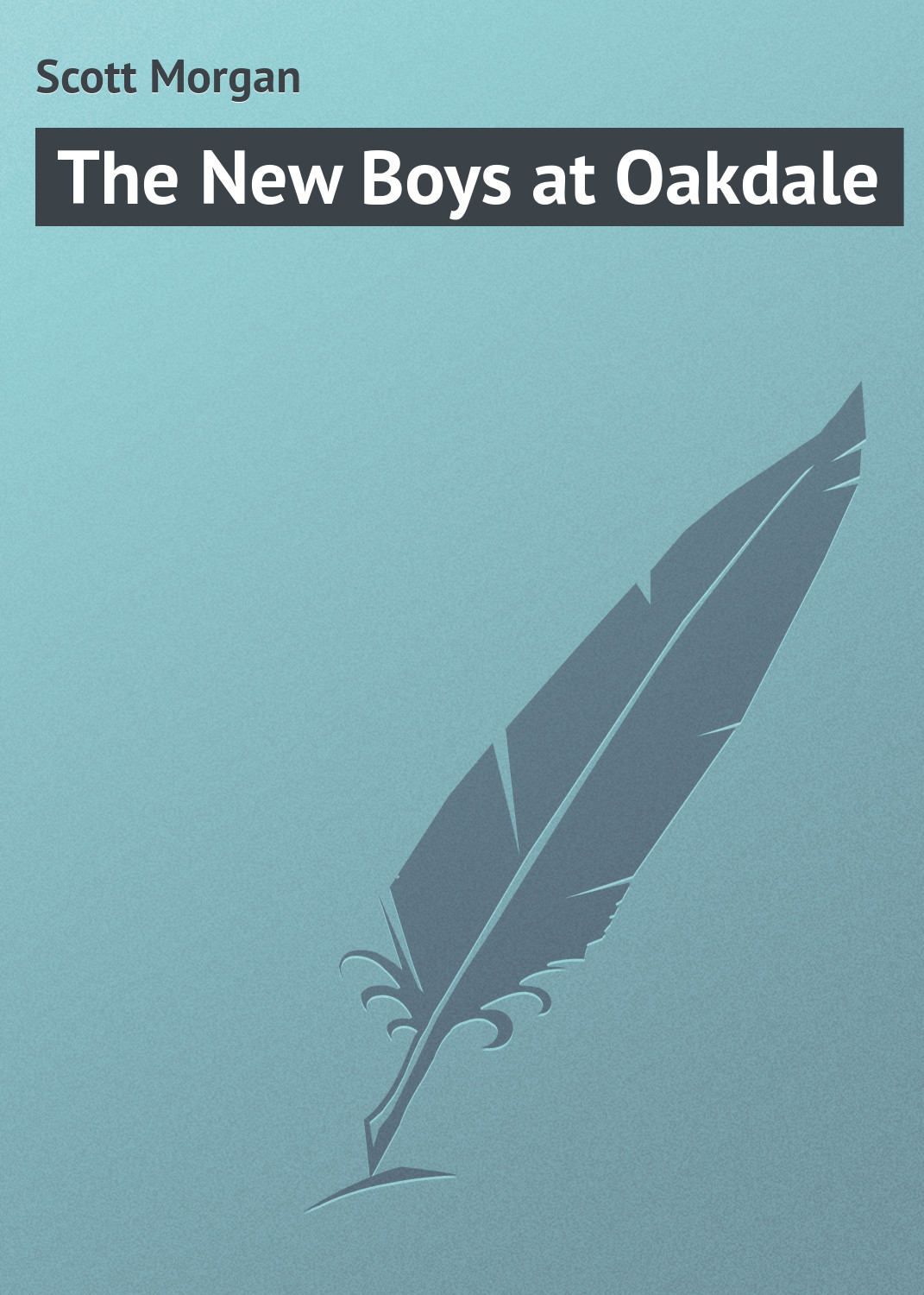 Обложка книги «The New Boys at Oakdale»