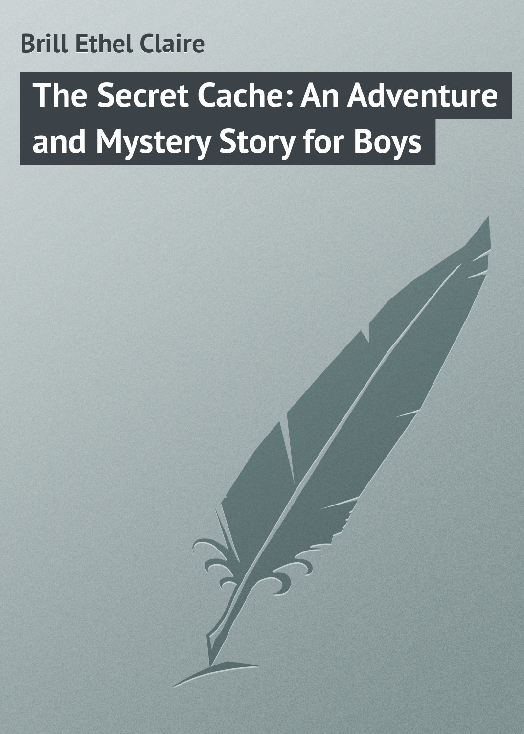 Обложка книги «The Secret Cache: An Adventure and Mystery Story for Boys»