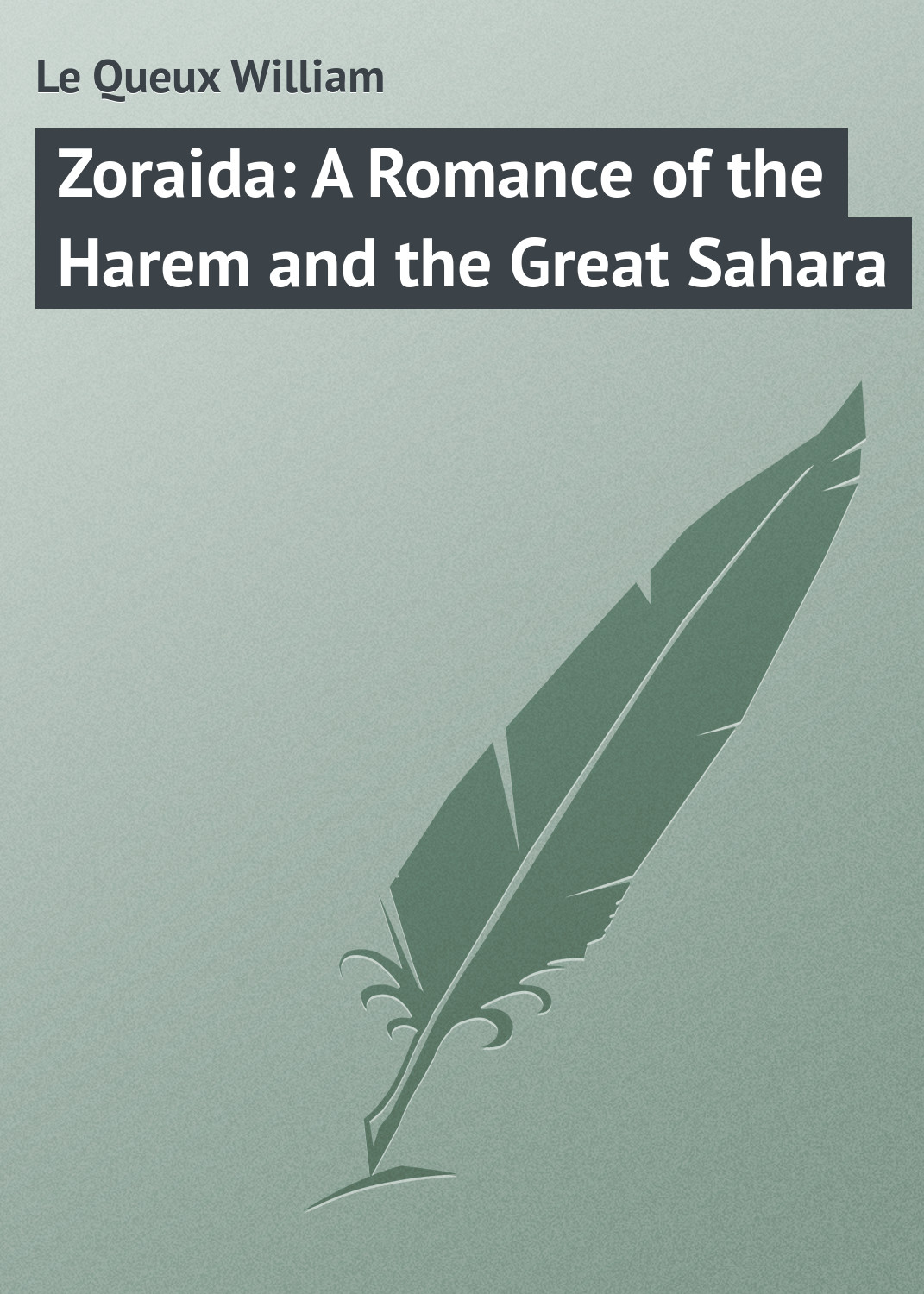 Обложка книги «Zoraida: A Romance of the Harem and the Great Sahara»