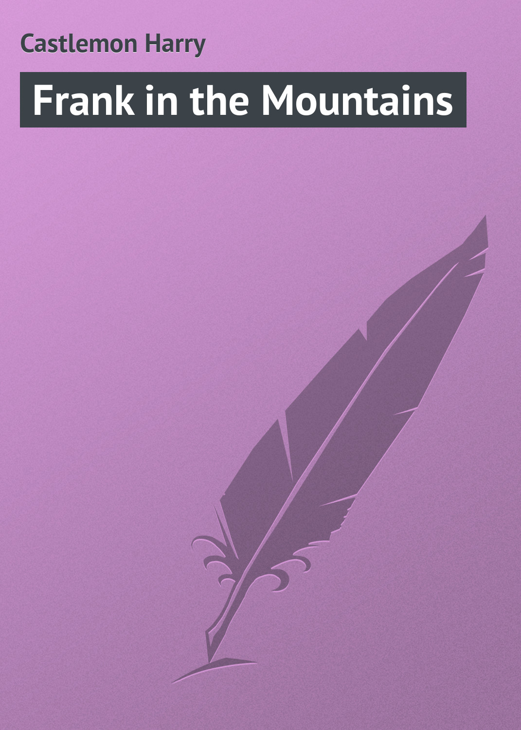 Обложка книги «Frank in the Mountains»