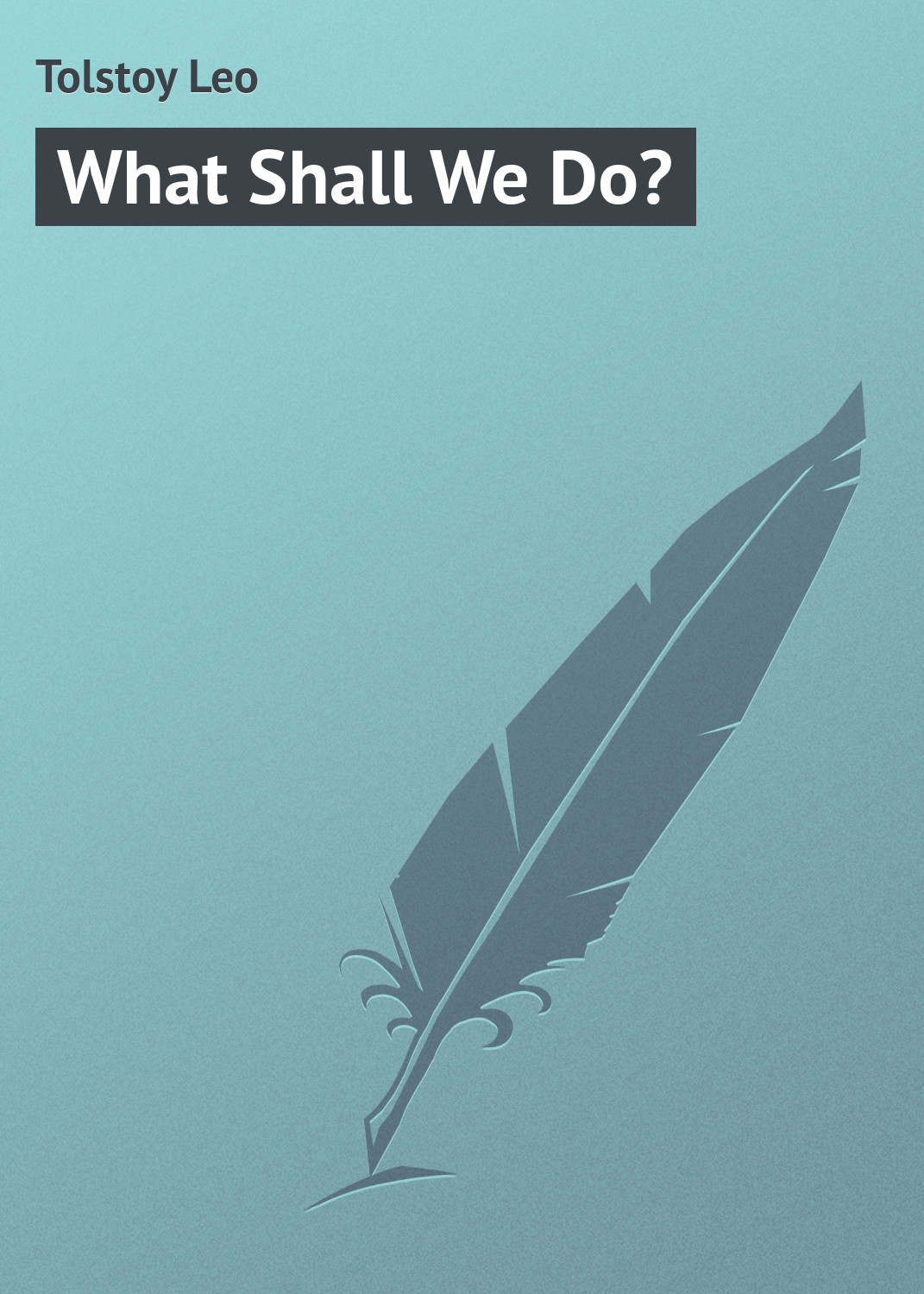 Обложка книги «What Shall We Do?»
