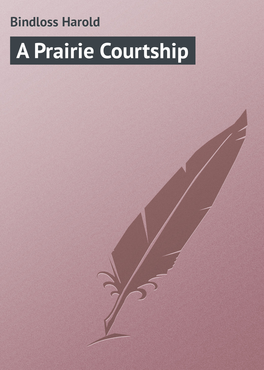Обложка книги «A Prairie Courtship»