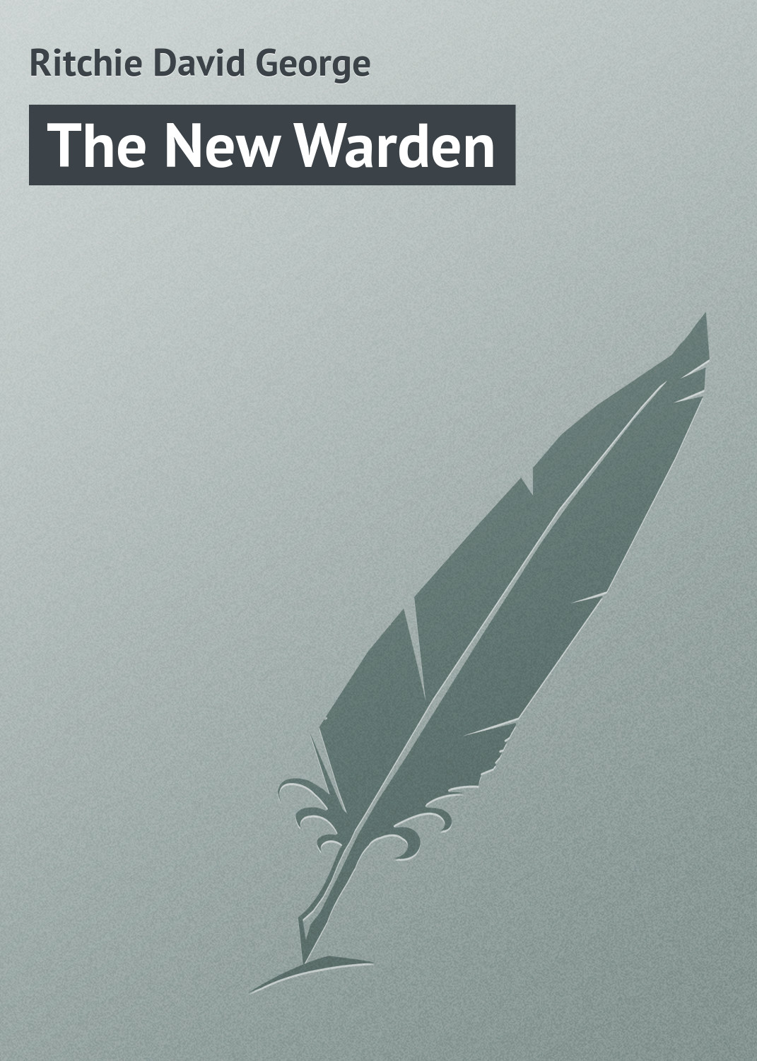 Обложка книги «The New Warden»