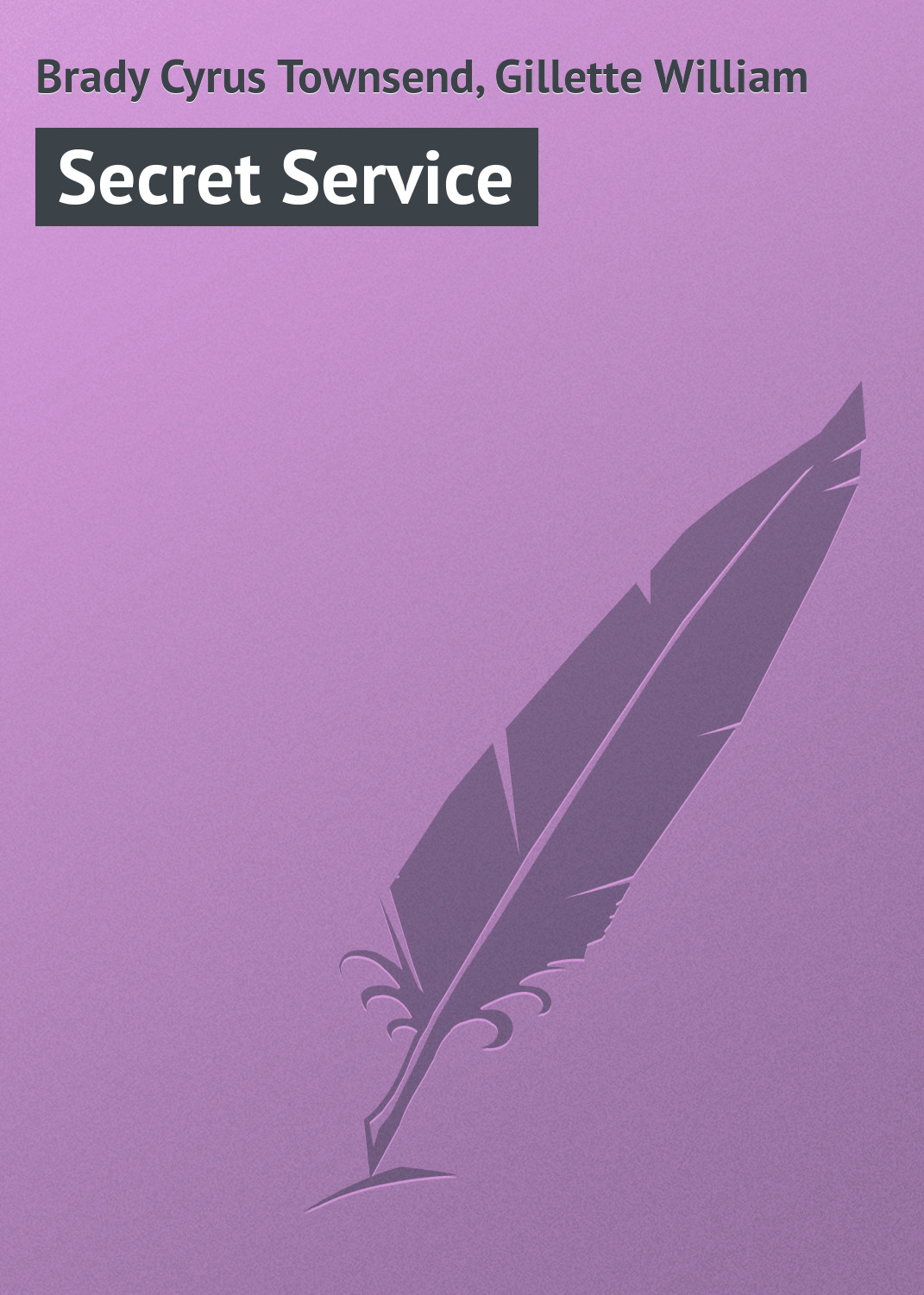 Обложка книги «Secret Service»