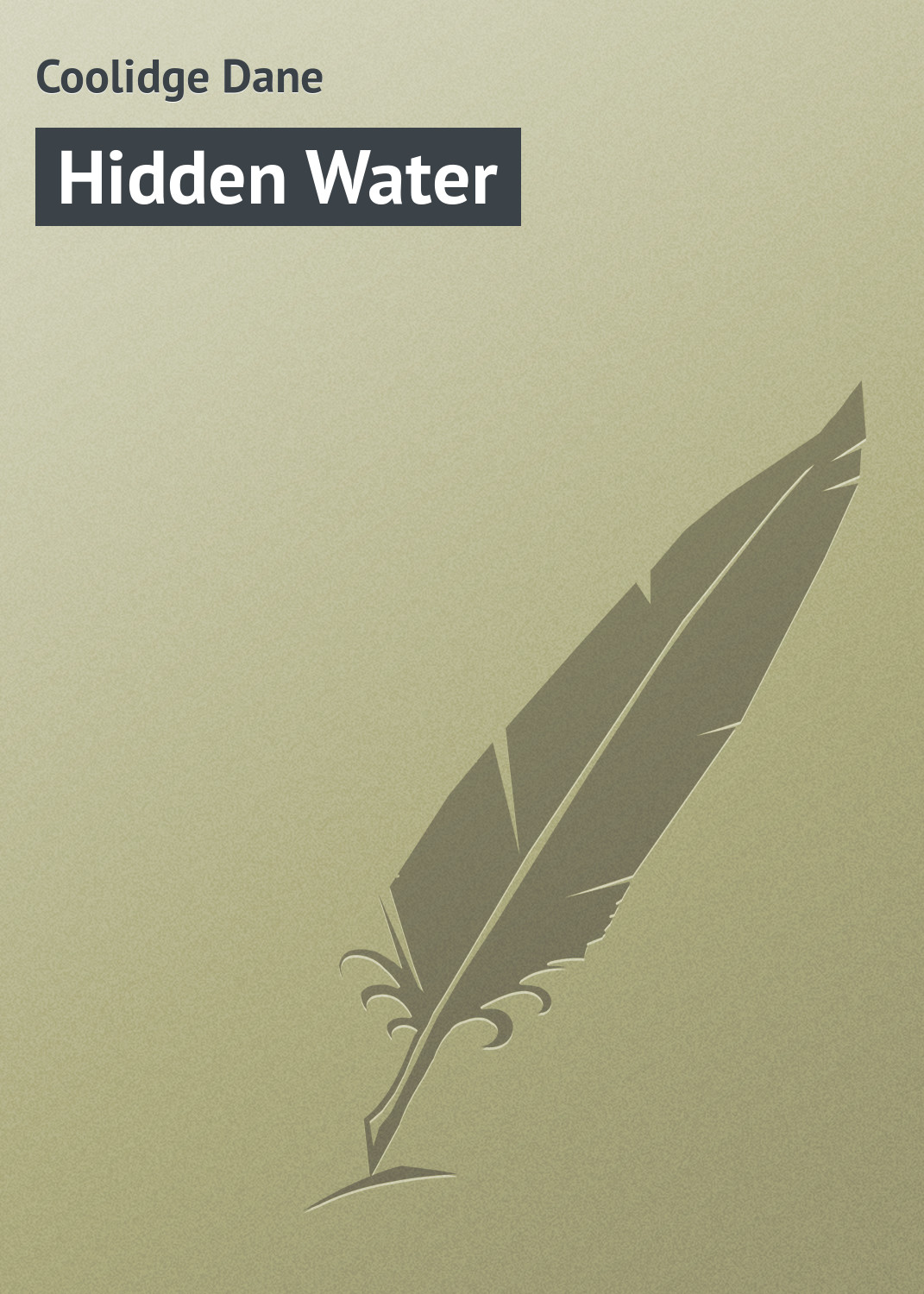 Обложка книги «Hidden Water»