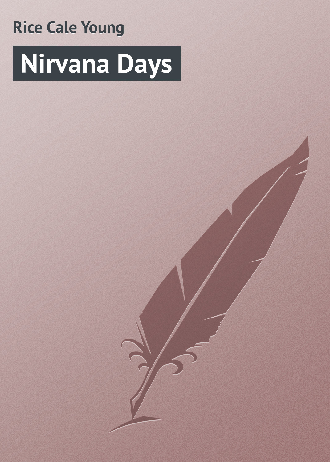 Обложка книги «Nirvana Days»