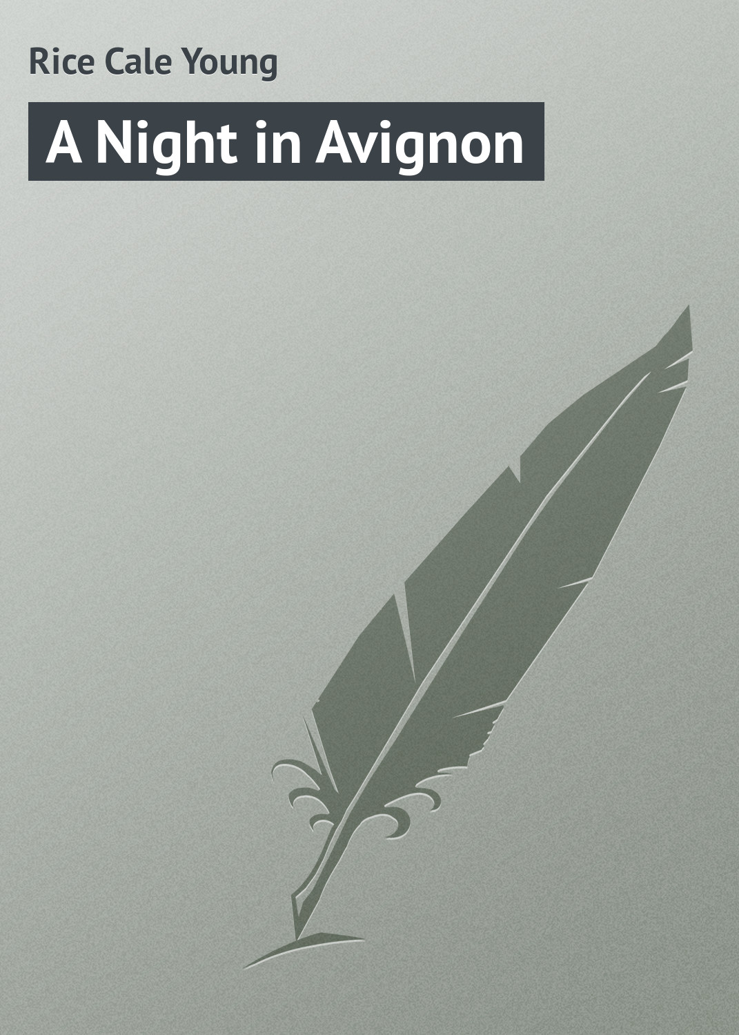 Обложка книги «A Night in Avignon»