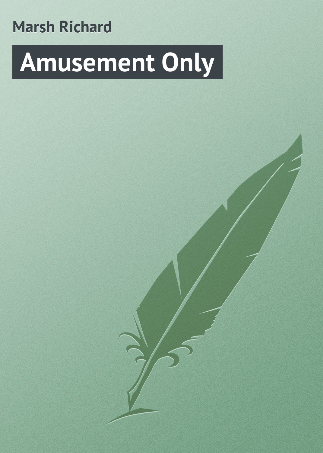 Обложка книги «Amusement Only»