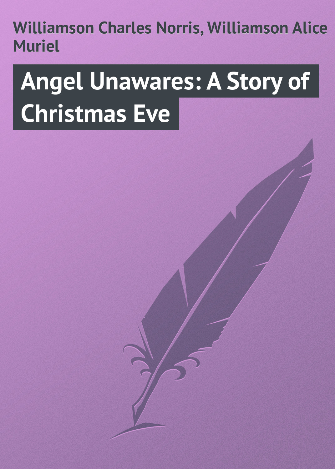 Обложка книги «Angel Unawares: A Story of Christmas Eve»