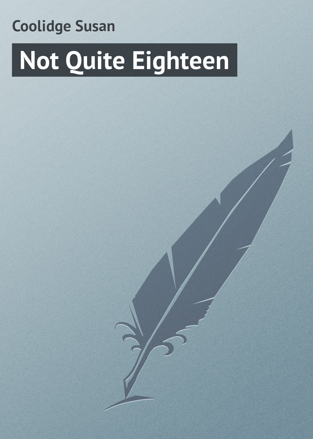 Обложка книги «Not Quite Eighteen»