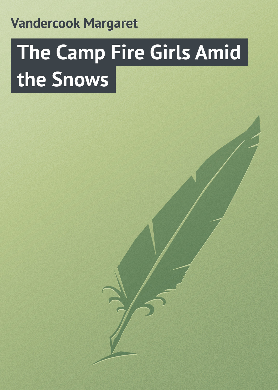 Обложка книги «The Camp Fire Girls Amid the Snows»