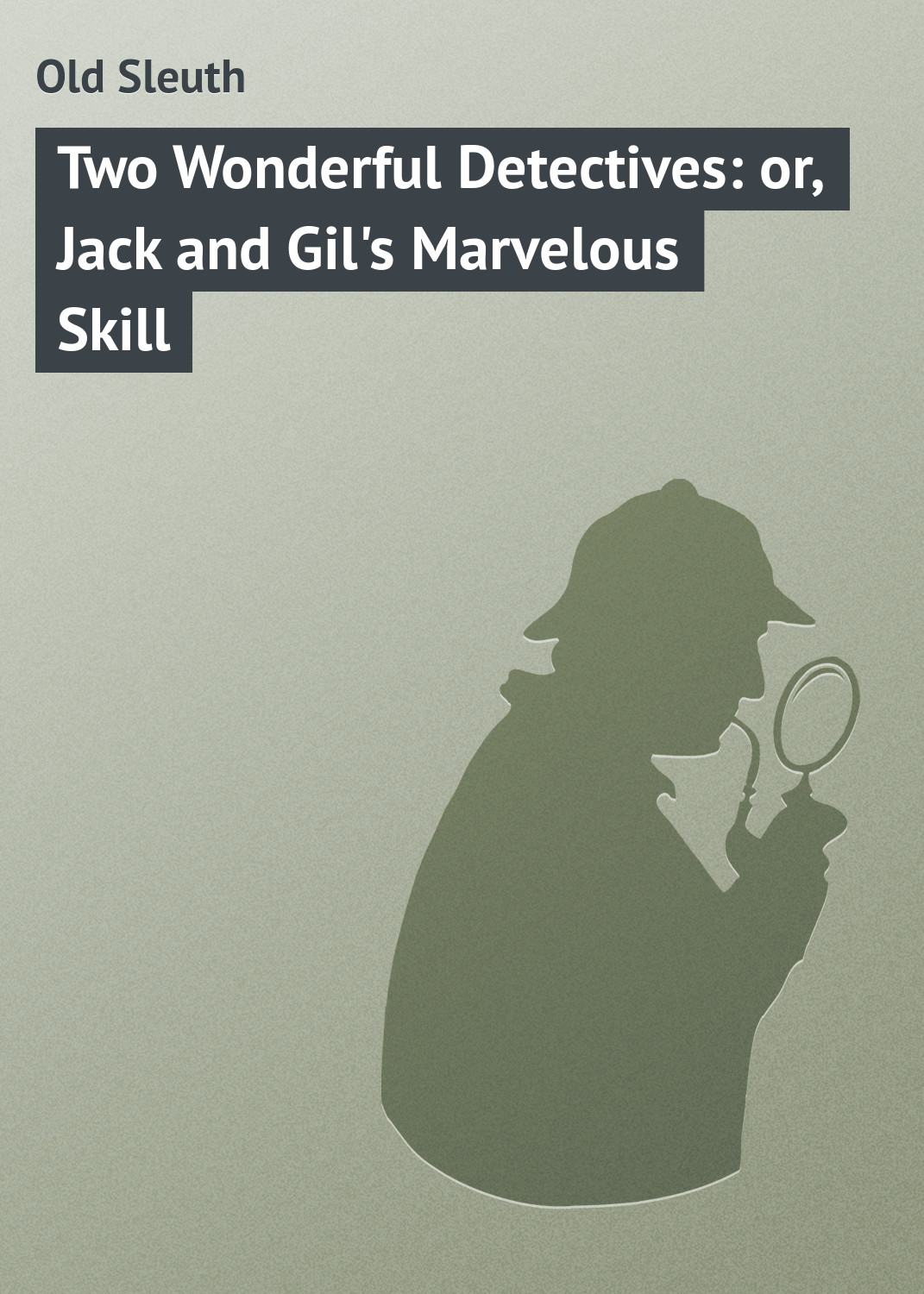 Обложка книги «Two Wonderful Detectives: or, Jack and Gil's Marvelous Skill»