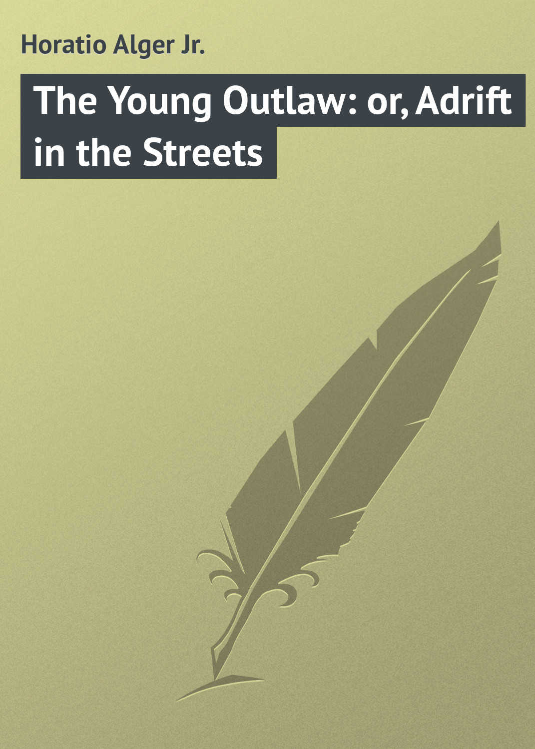 Обложка книги «The Young Outlaw: or, Adrift in the Streets»