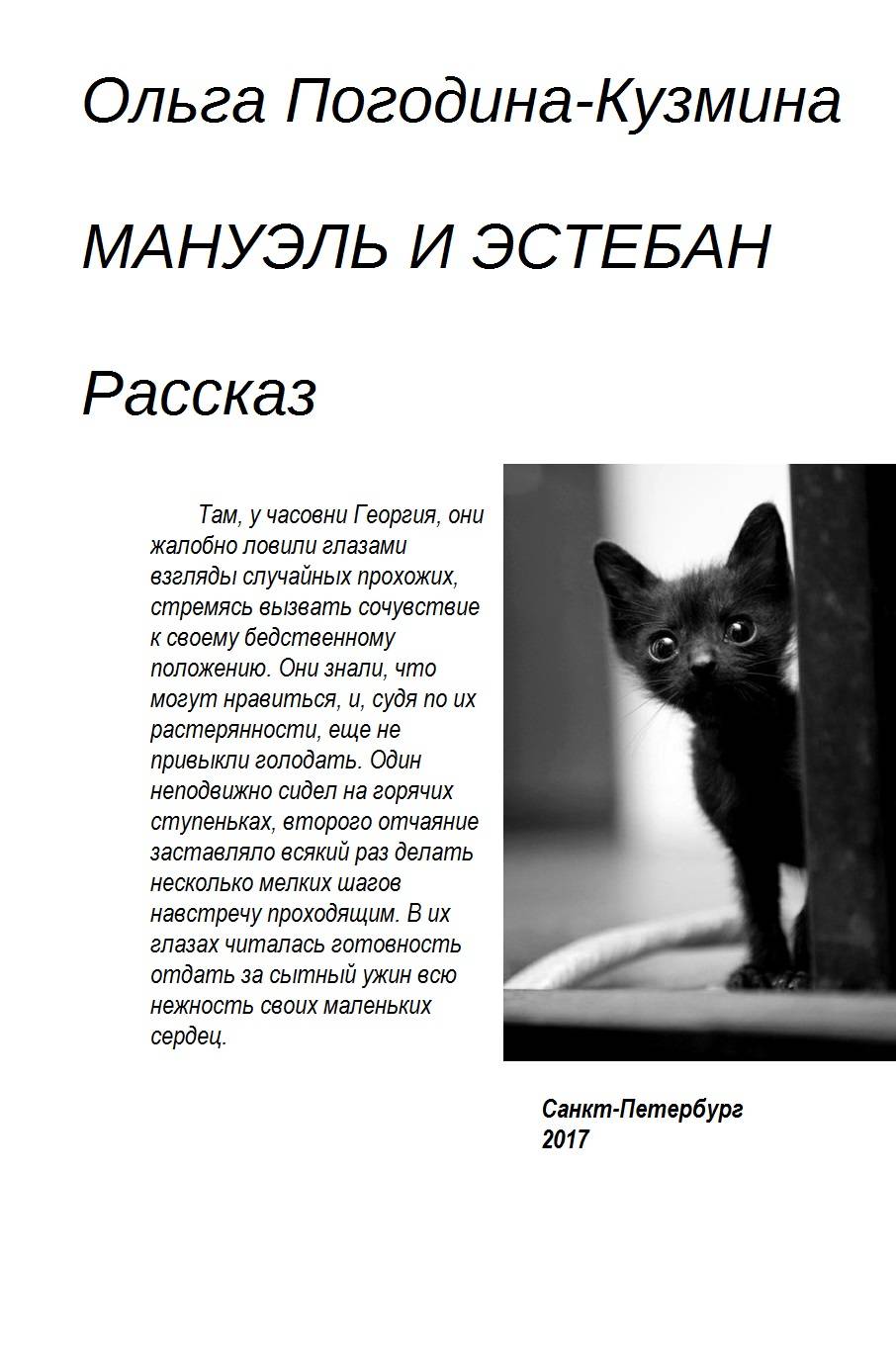 Обложка книги «Мануэль и Эстебан»