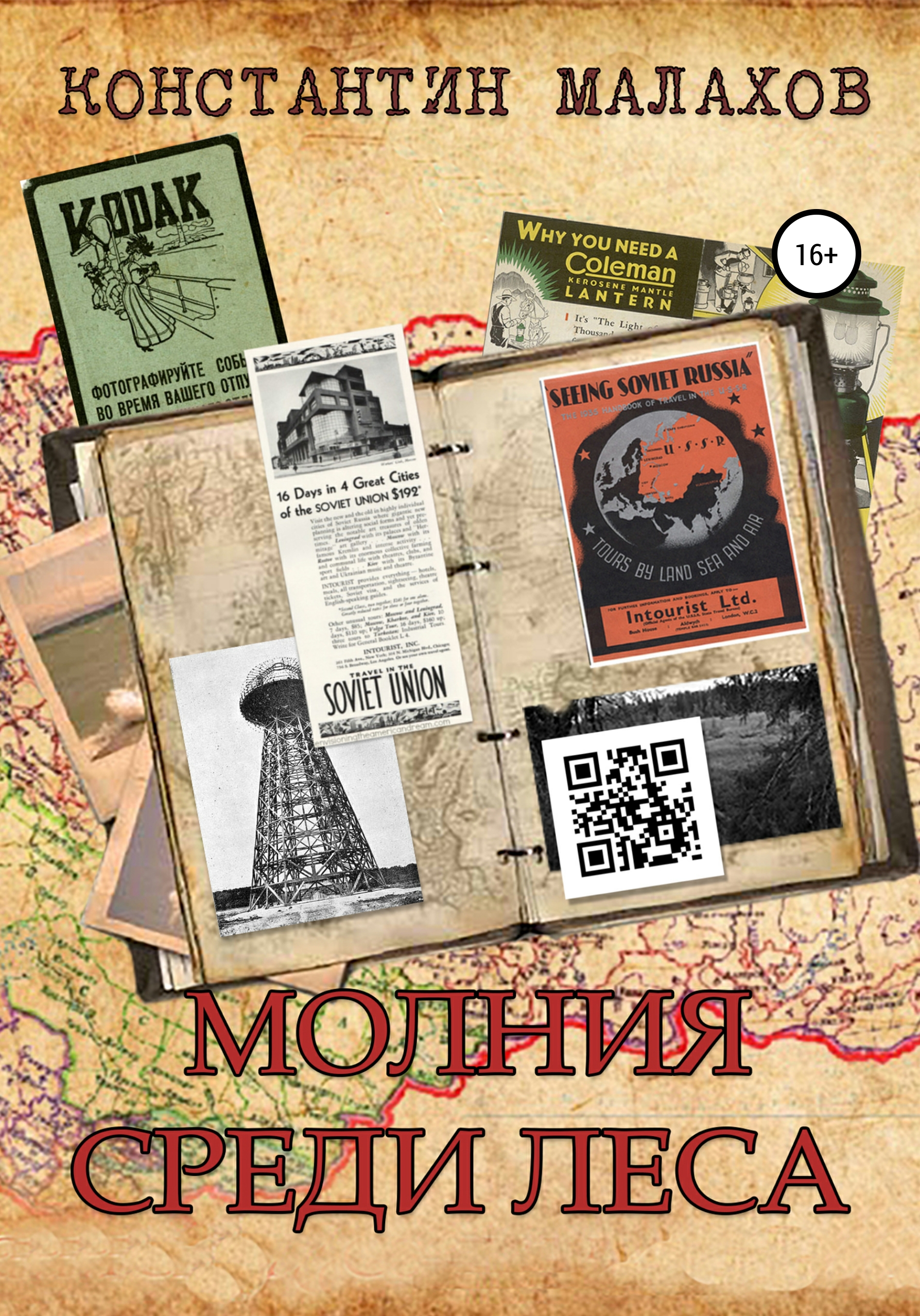 Обложка книги «Молния среди леса»