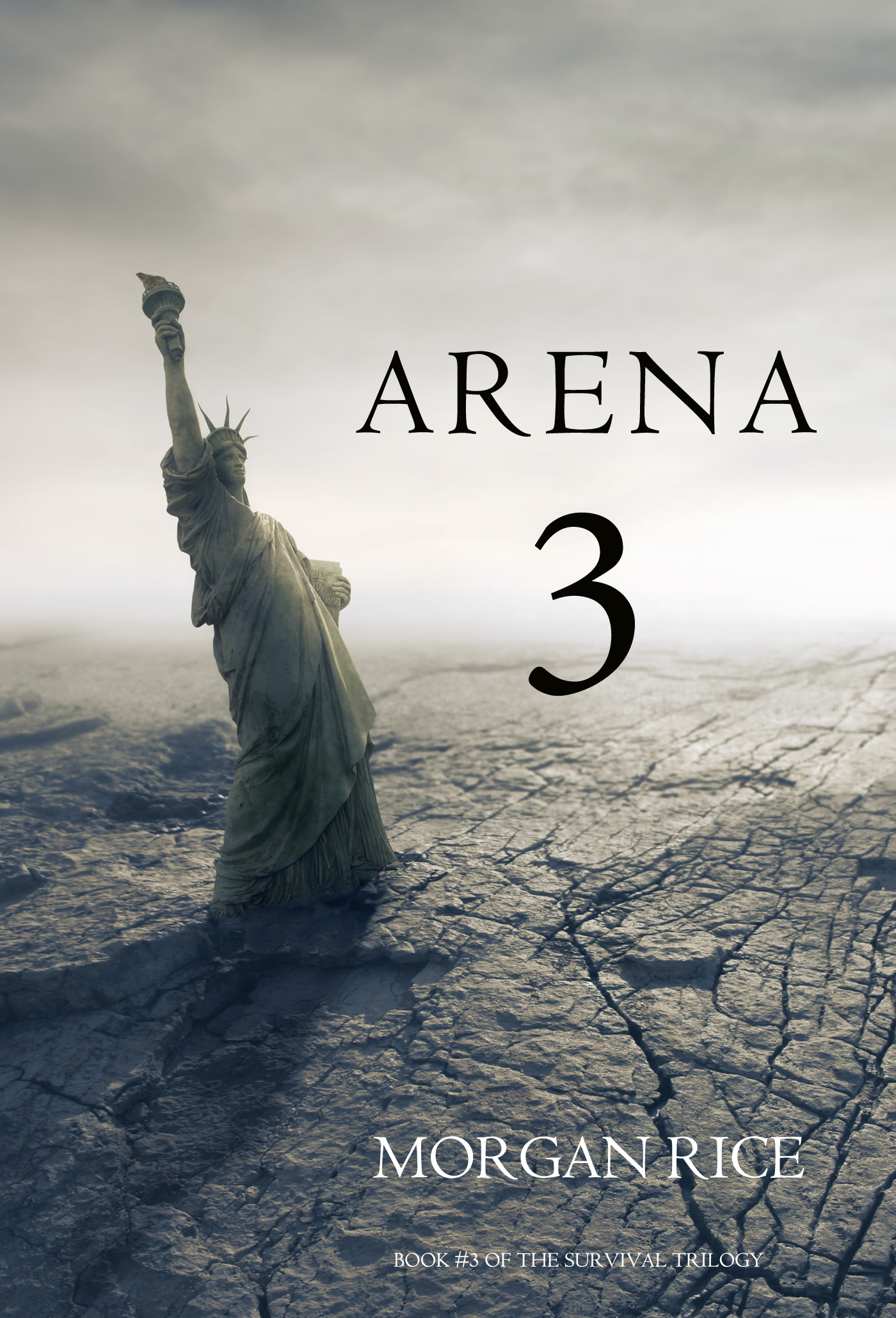 Обложка книги «Arena 3»