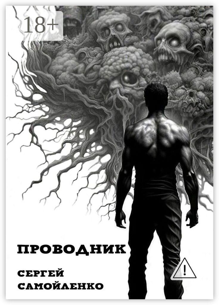 Обложка книги «Проводник»