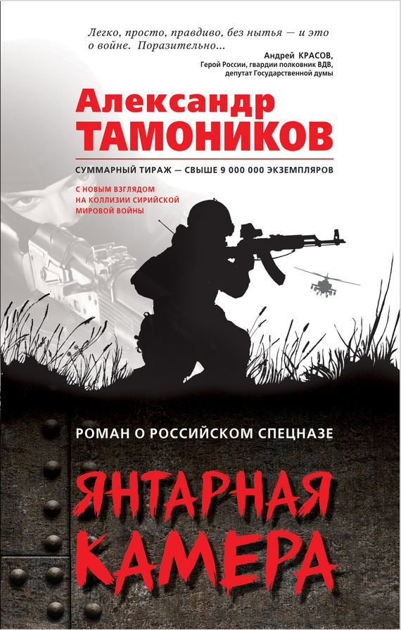 Обложка книги «Янтарная камера»
