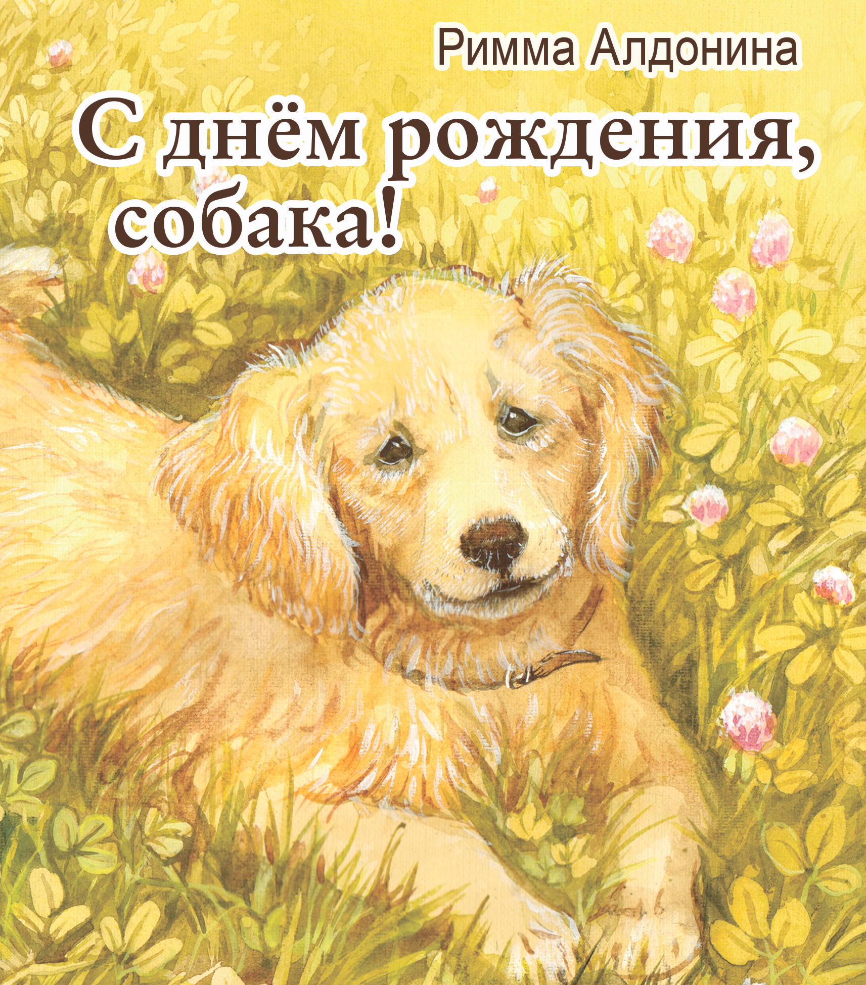 Обложка книги «С днем рождения, собака!»