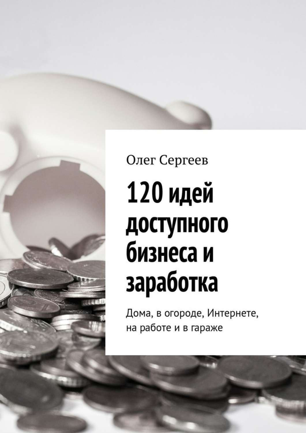 Обложка книги «120 идей доступного бизнеса и заработка. Дома, в огороде, Интернете, на работе и в гараже»