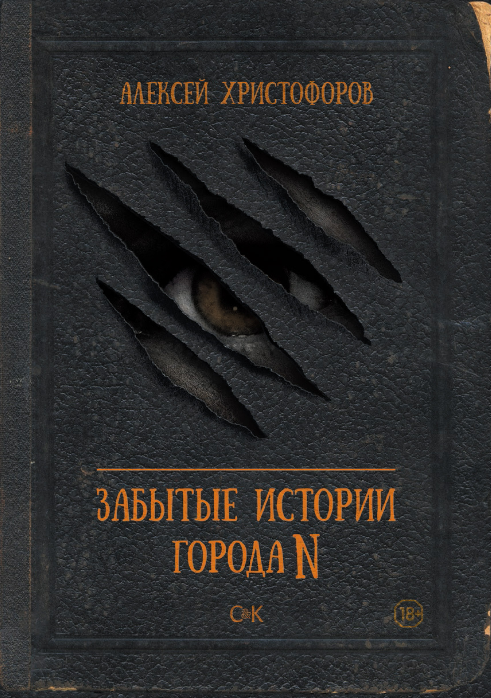 Обложка книги «Забытые истории города N»
