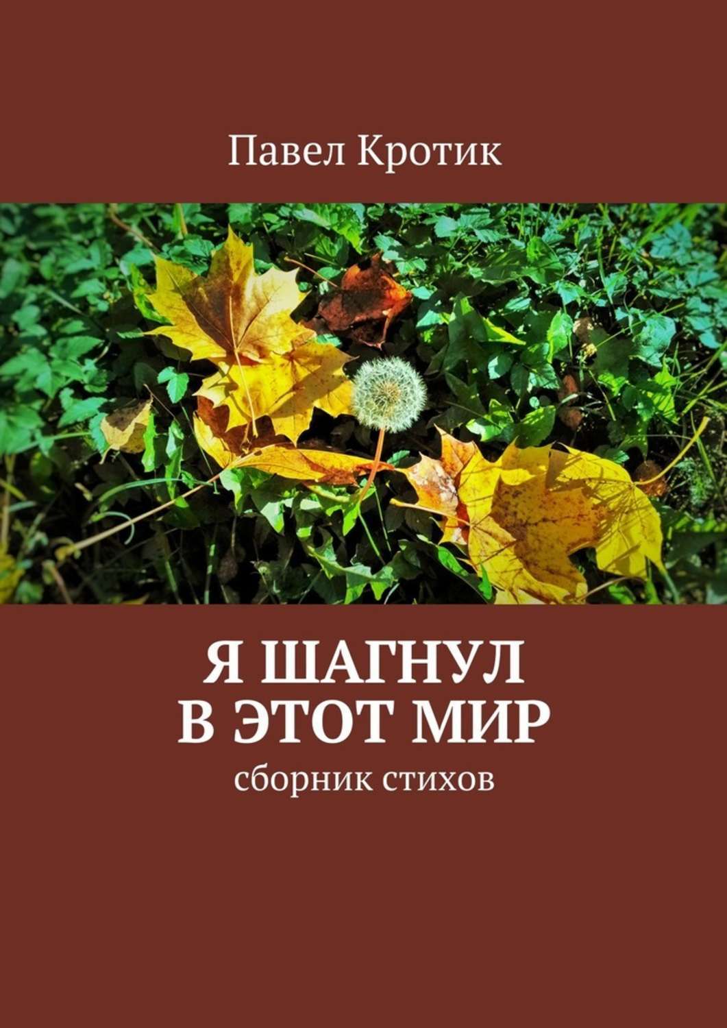 Обложка книги «Я шагнул в этот мир. Сборник стихов»