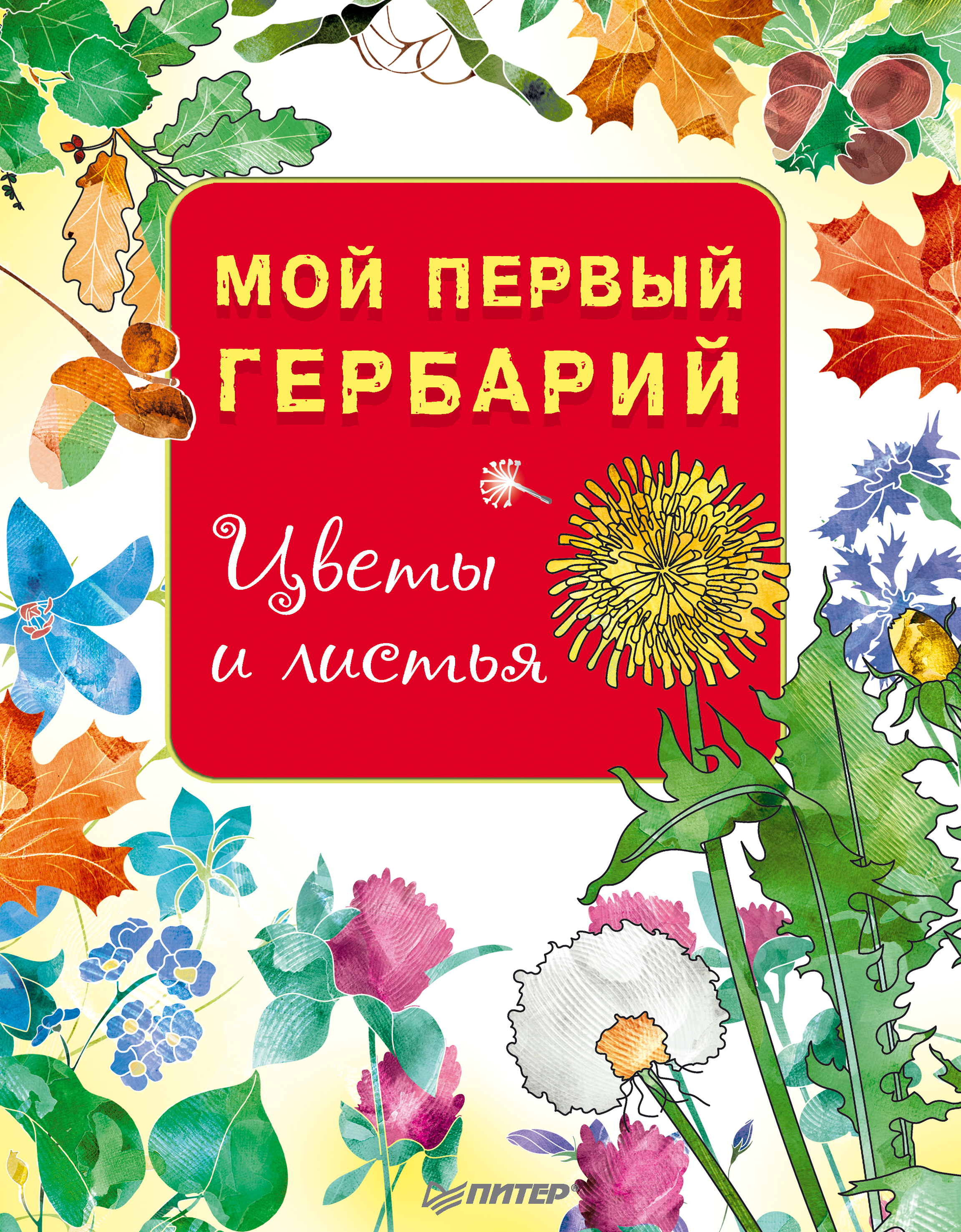 Обложка книги «Мой первый гербарий. Цветы и листья»