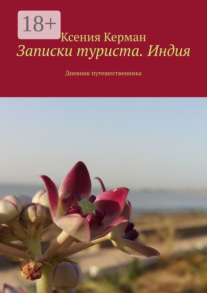Обложка книги «Записки туриста. Индия. Дневник путешественника»
